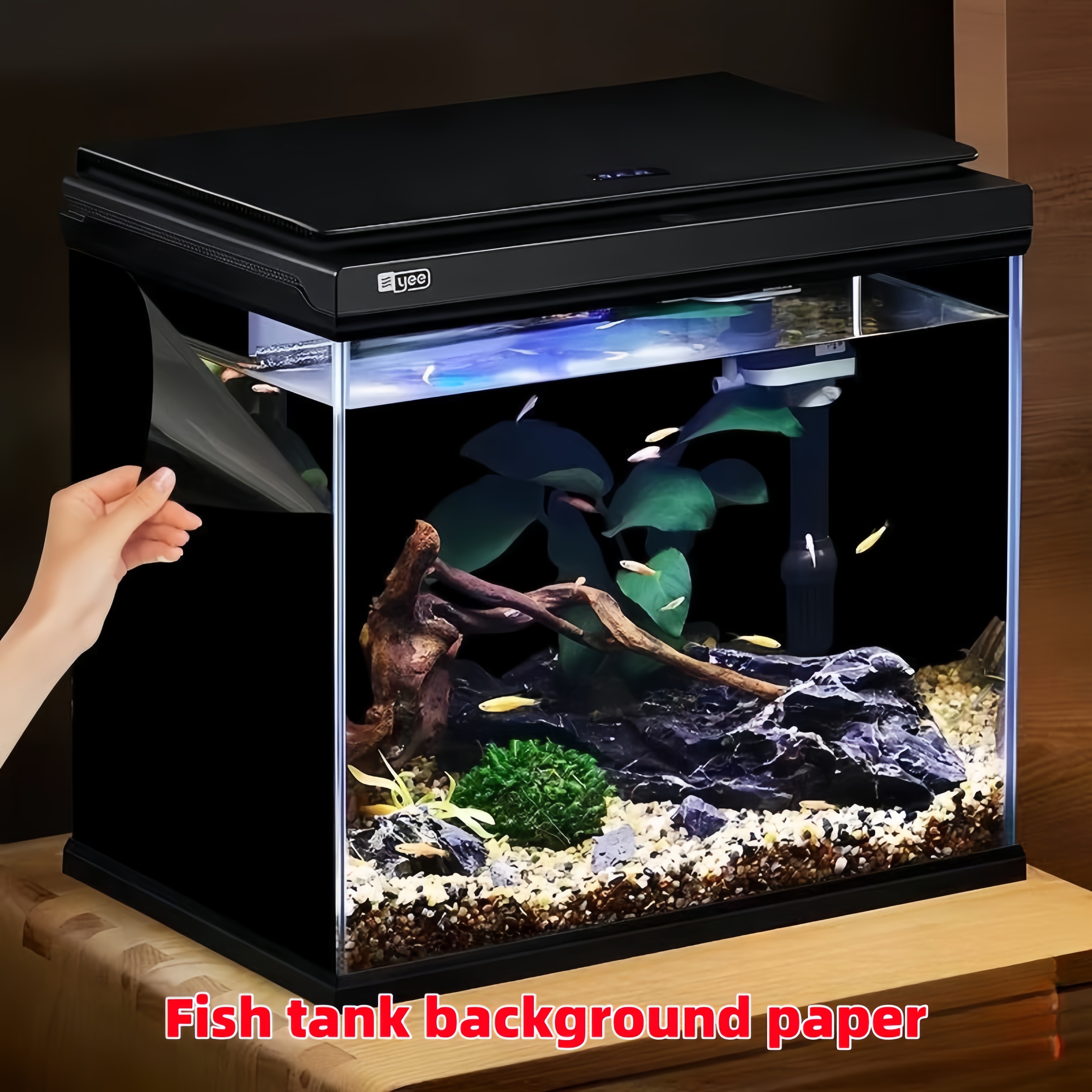 Black Aquarium Background Wall - مراجعة Aquarium Fish Poster وسعره