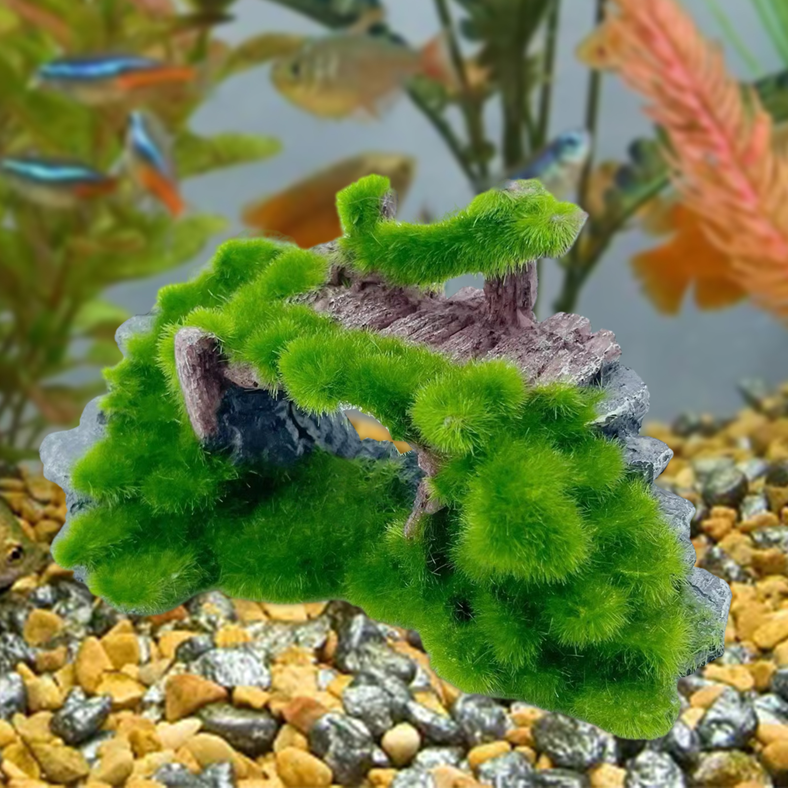 Fish Tank Decoration Rock Cave - مراجعة Aquarium Fish Bridge وسعره